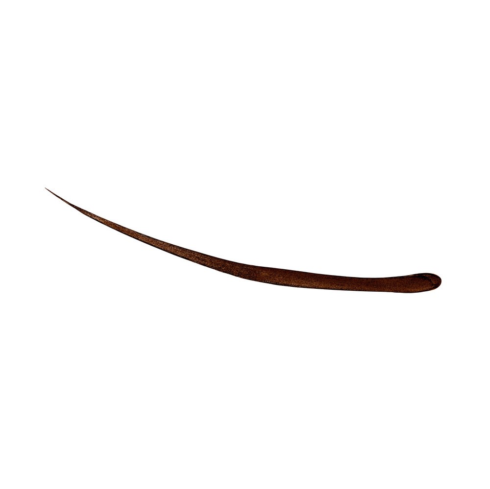 40971-Diego-dalla-Palma-OCCHI-Delineatore-Per-Occhi-Eyeliner-Colore-02.jpg